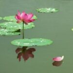 赏金国际官网的支付方式及其安全性探讨 e5y6fm