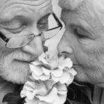 胜天国际:如何在国际市场中脱颖而出 svl8n7g