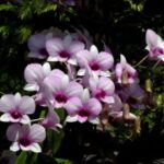 赏金国际娱乐的魅力:为何玩家趋之若鹜 wxlh3zlxu5