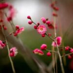 胜天国际H5如何实现个性化用户体验 zrgb0z